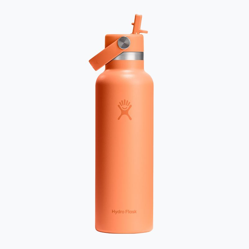 Terminis butelis Hydro Flask Standard Flex Straw 620 ml nectar