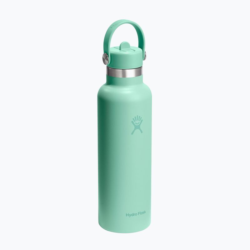 Termo gertuvė Hydro Flask Standard Flex 621 ml mermaid green 2