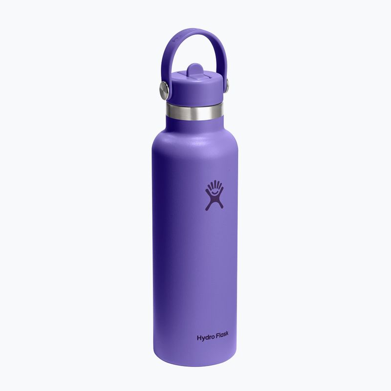 Termo gertuvė Hydro Flask Standard Flex 621 ml utopia purple 2