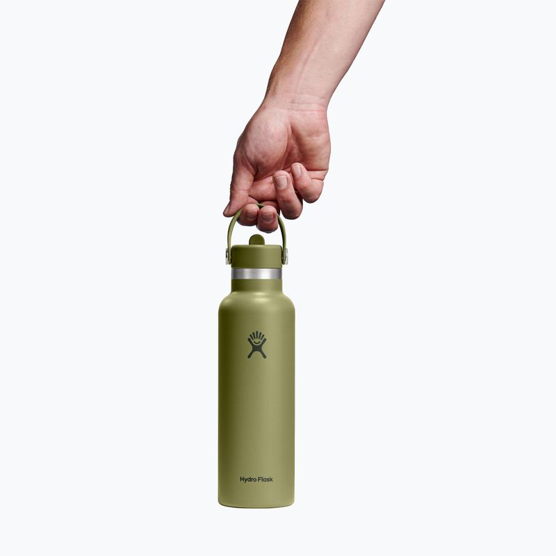 Termo gertuvė Hydro Flask Standard Flex 621 ml palmer green 3