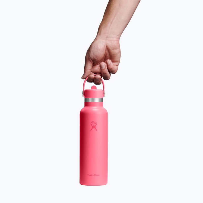 Termo gertuvė Hydro Flask Standard Flex 621 ml popstar pink 3