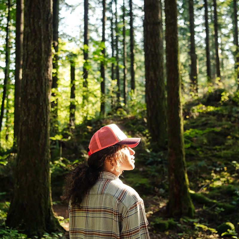 BUFF Trucker Derama įvairiaspalvė beisbolo kepuraitė 12