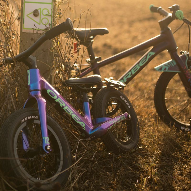 Orbea MX 12 krosinis dviratis mėlynas M00112I1 8
