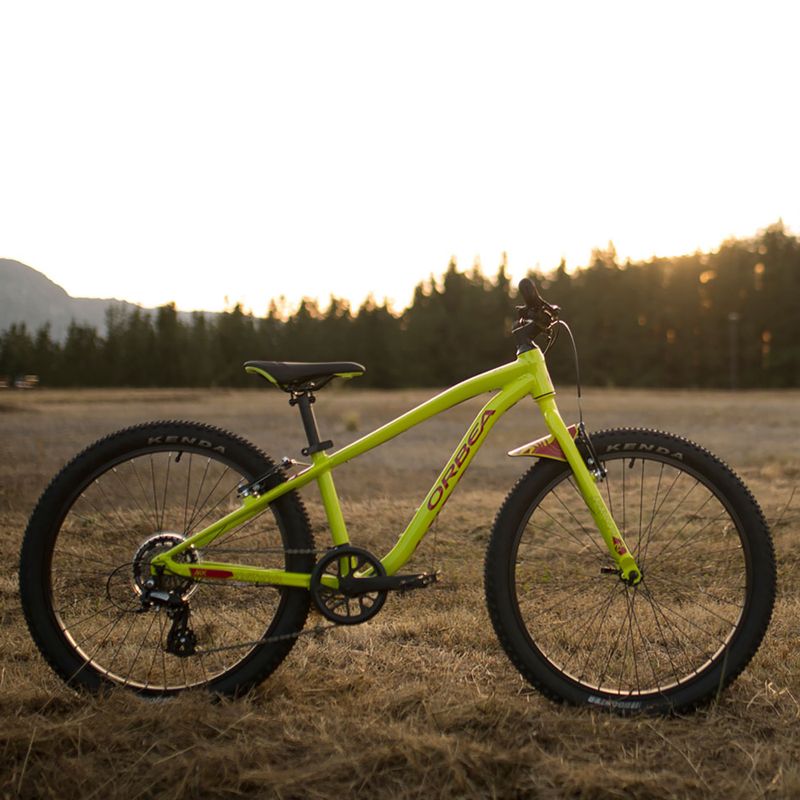 Vaikiškas dviratis Orbea MX20 Team yellow M00520I6 6