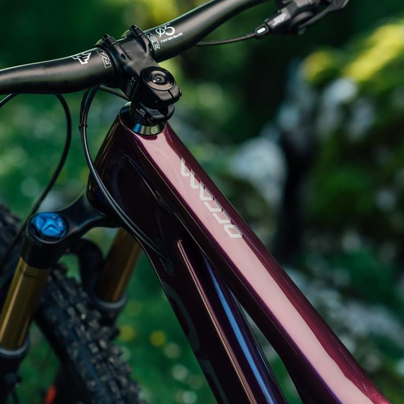 Orbea Occam M10 LT kalnų dviratis purpurinės spalvos M25915LU 3