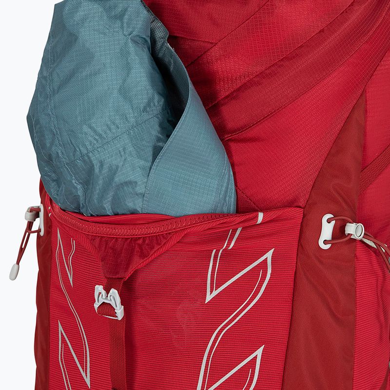 Vyriška žygio kuprinė Osprey Talon 36 l (S-M) cosmic red 6