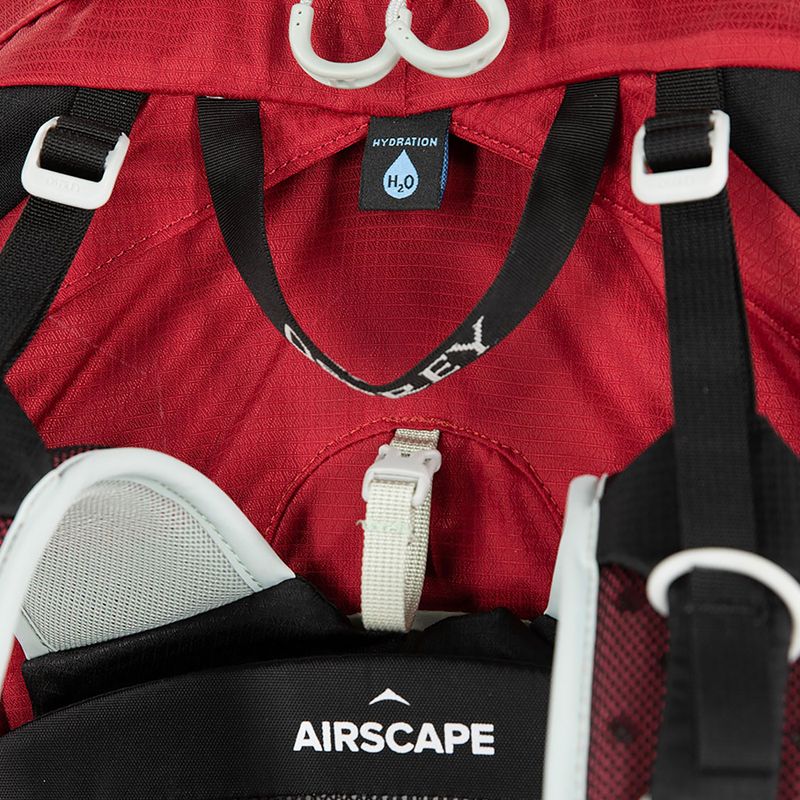 Vyriška žygio kuprinė Osprey Talon 36 l (S-M) cosmic red 7