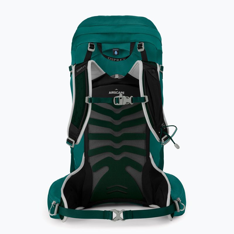 Moteriška žygio kuprinė Osprey Tempest 34 l jasper green 3