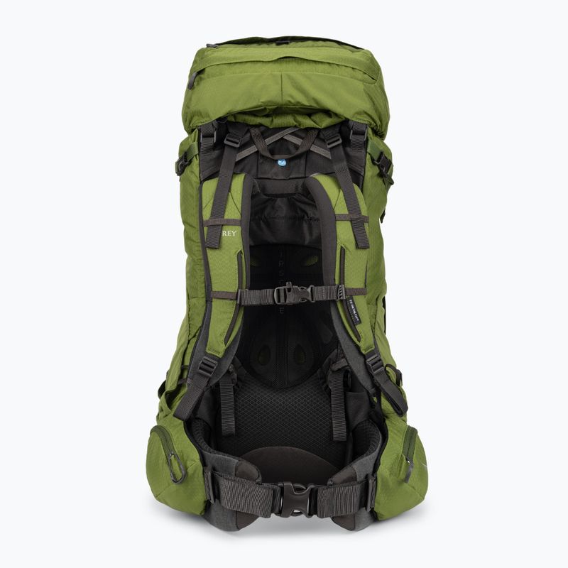 Vyriška žygio kuprinė Osprey Aether 65 l garlic mustard green 3