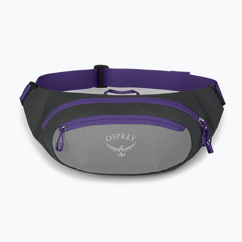 Rankinė ant juosmens Osprey Daylite Waist medium grey/dark charcoal 9