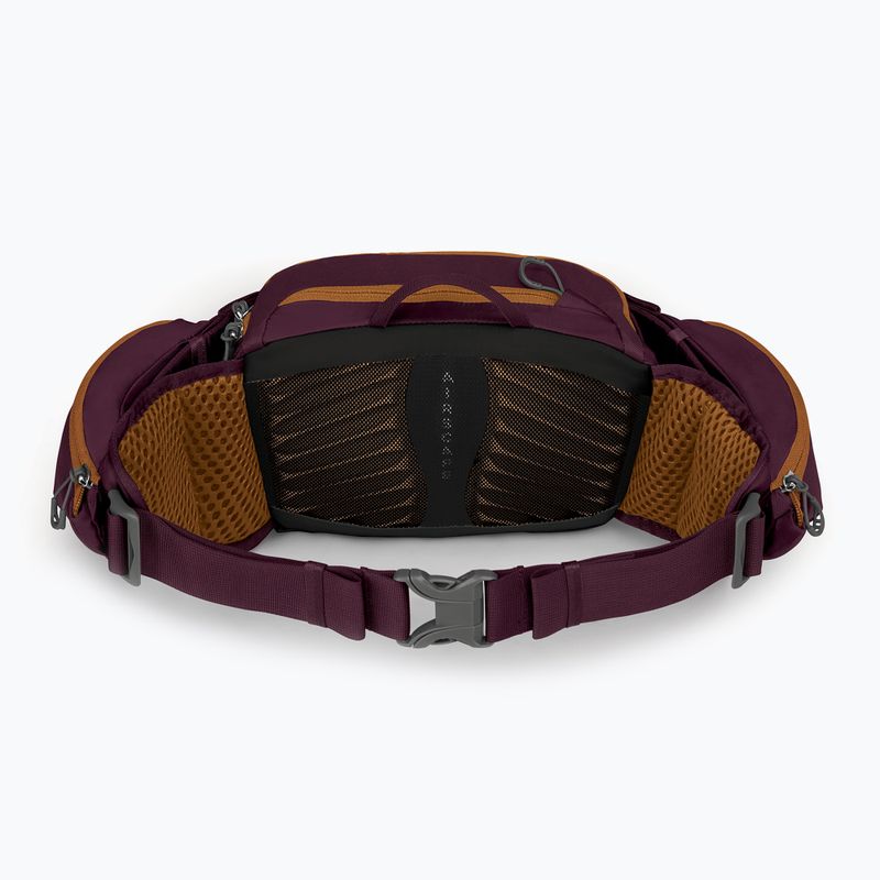Dviračio krepšys Osprey Savu 5 aprium purple 3