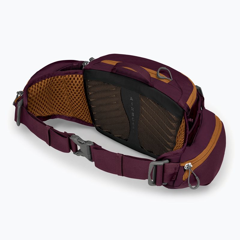 Dviračio krepšys Osprey Savu 5 aprium purple 4