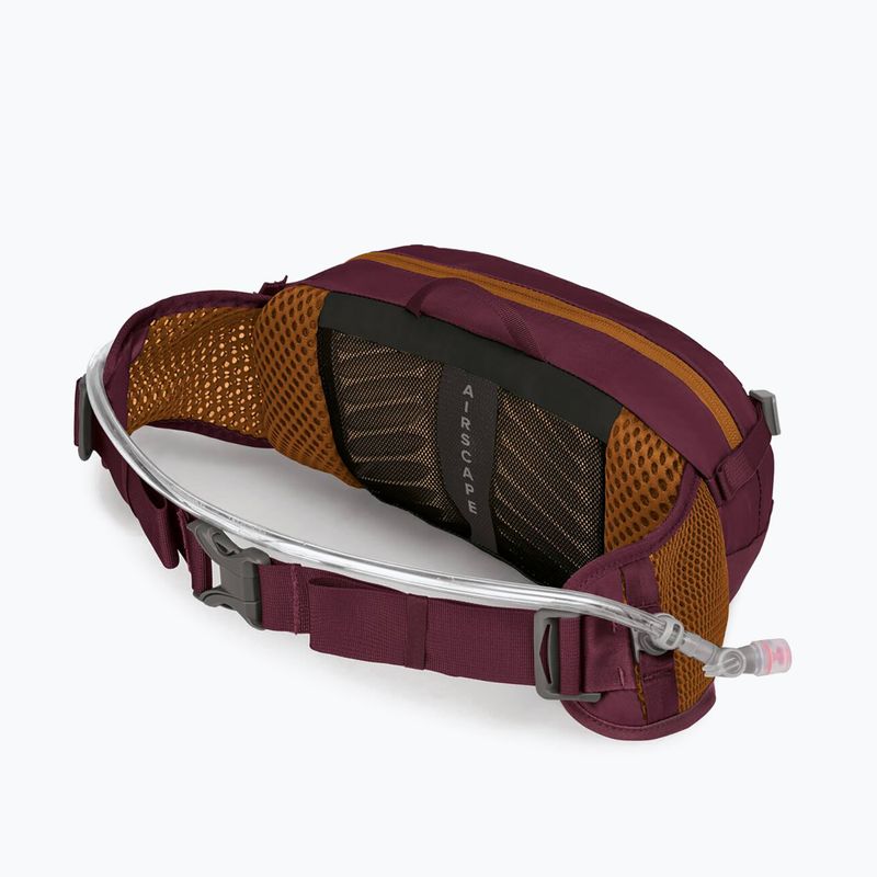 Dviračio rankinė ant juosmens Osprey Seral 4 l su gertuve  1.5 l aprium purple 7