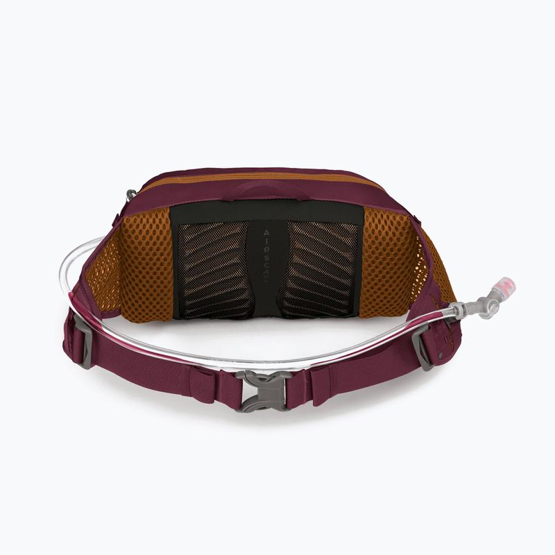 Dviračio rankinė ant juosmens Osprey Seral 4 l su gertuve  1.5 l aprium purple 8