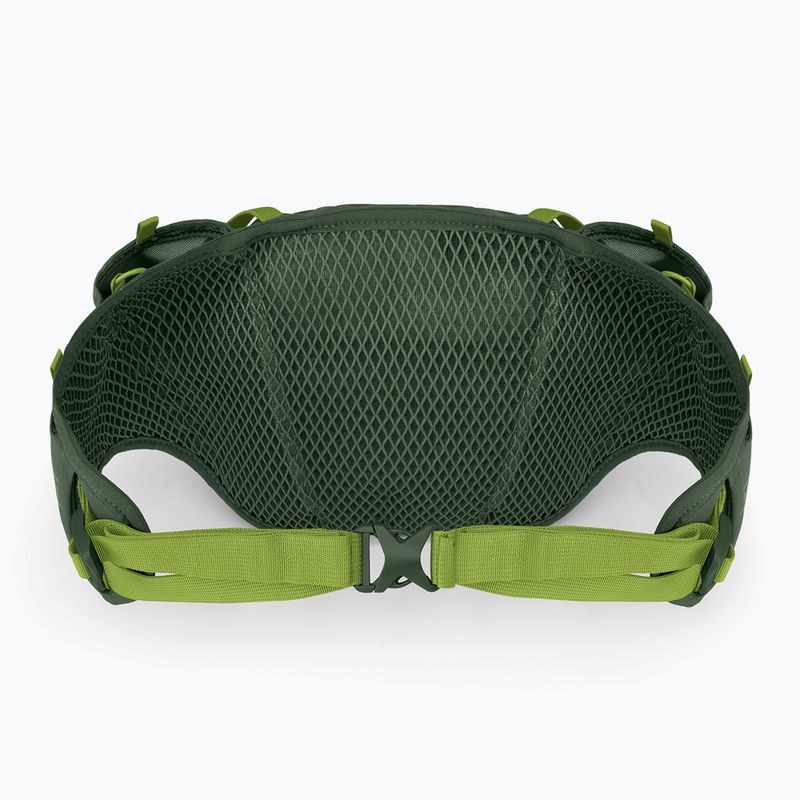 Rankinė ant juosmens Osprey Duro Dyna 2 l seaweed green/limon 3