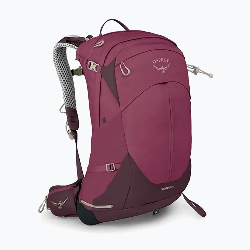 Moteriška turistinė kuprinė Osprey Sirrus 24 l elderberry purple / chiru tan 3