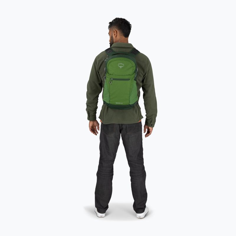 Turistinė kuprinė Osprey Daylite Plus 20 l green belet / green canopy 10