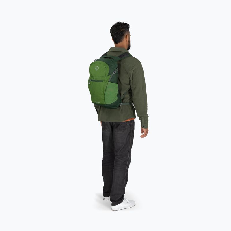 Turistinė kuprinė Osprey Daylite Plus 20 l green belet / green canopy 11