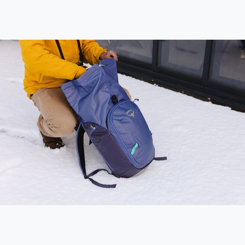 Miestinis kuprinė Osprey Transporter Roll Top 30 l euphoria purple 11