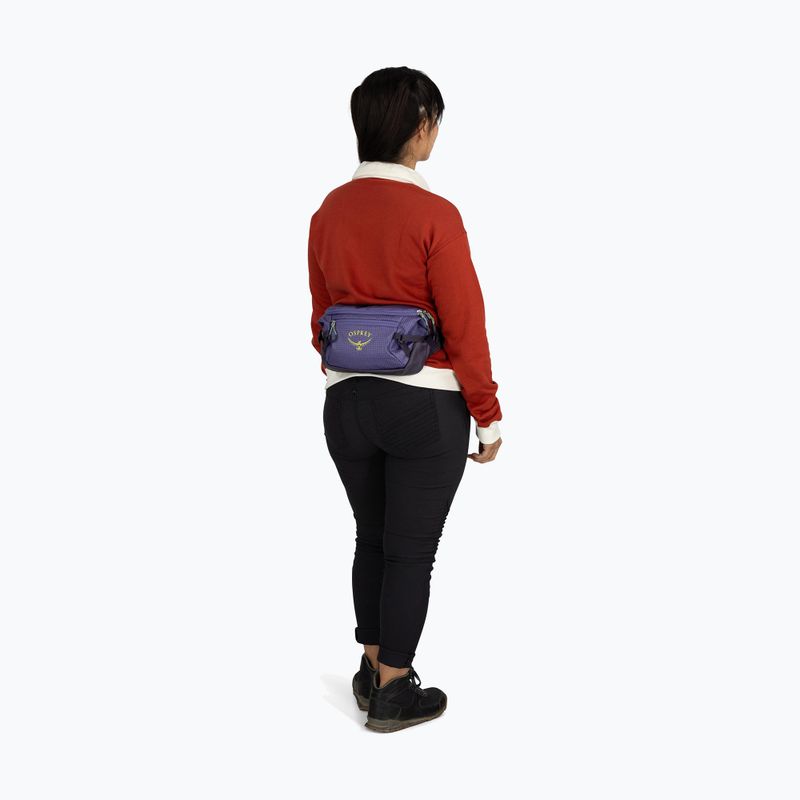 Rankinė ant juosmens Osprey Transporter Waist Pack 3 l euphoria 9