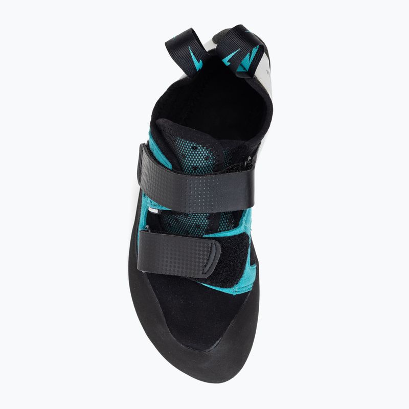 Vyriški laipiojimo batai Evolv Geshido blue 955 6