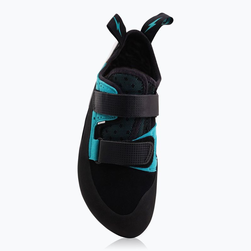 Vyriški laipiojimo batai Evolv Geshido blue 955 3