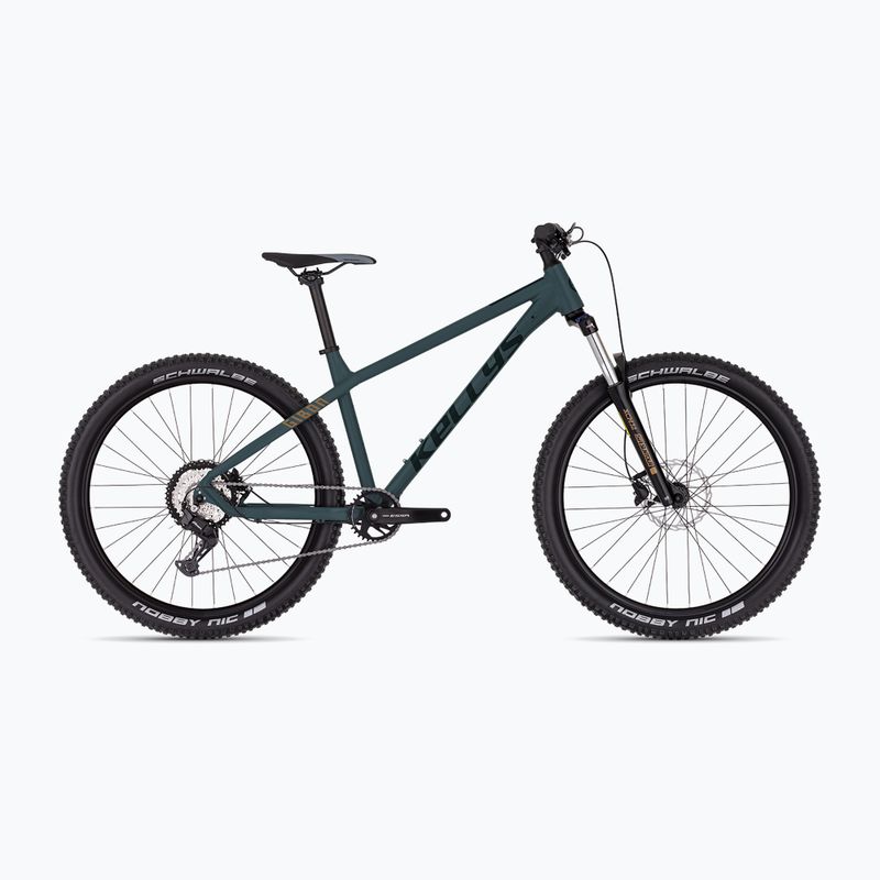 Kalnų dviratis Kellys Gibon 05 29" ebony green
