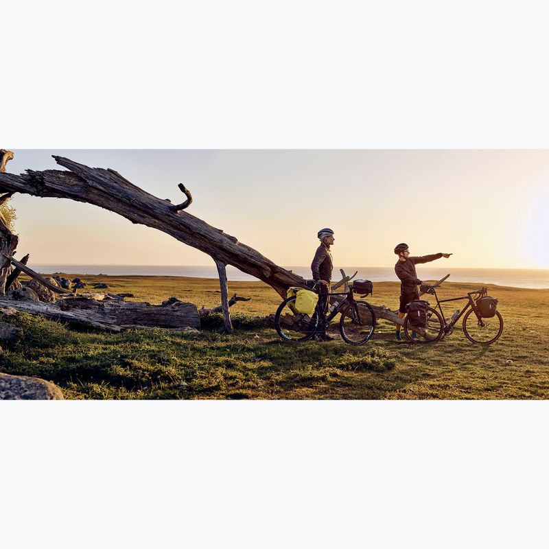 Dviračio krepšiai Thule Shield Pannier 2 x 13 l black 10