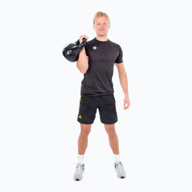 Kettlebell 10 kg Pure2Improve juodas P2I202100 5