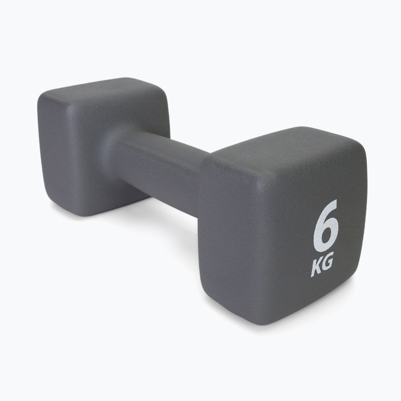 Neopreninis 6 kg hantelis Pure2Improve pilkas P2I201440