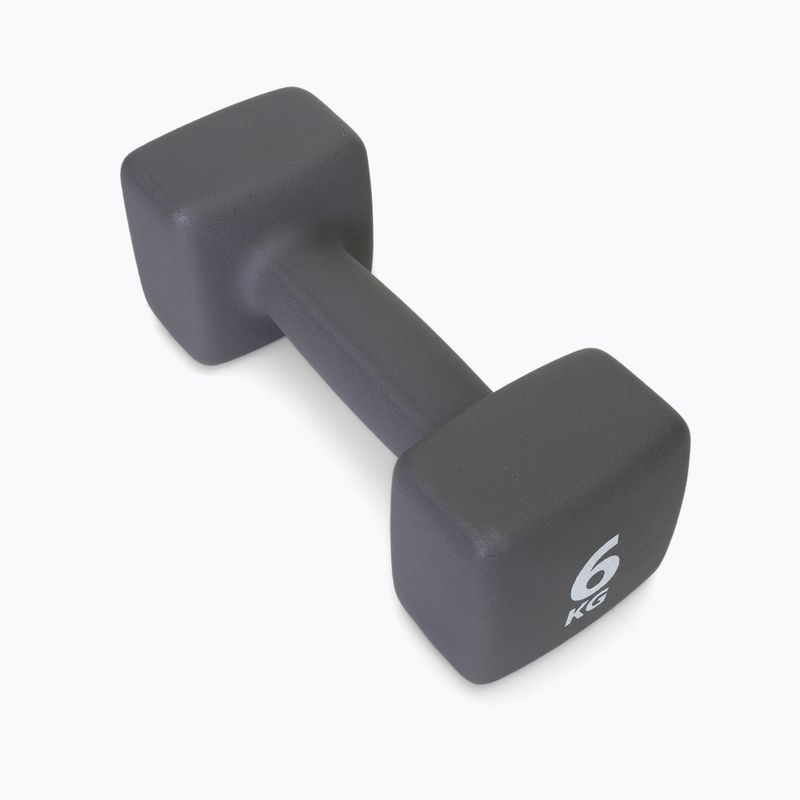 Neopreninis 6 kg hantelis Pure2Improve pilkas P2I201440 2