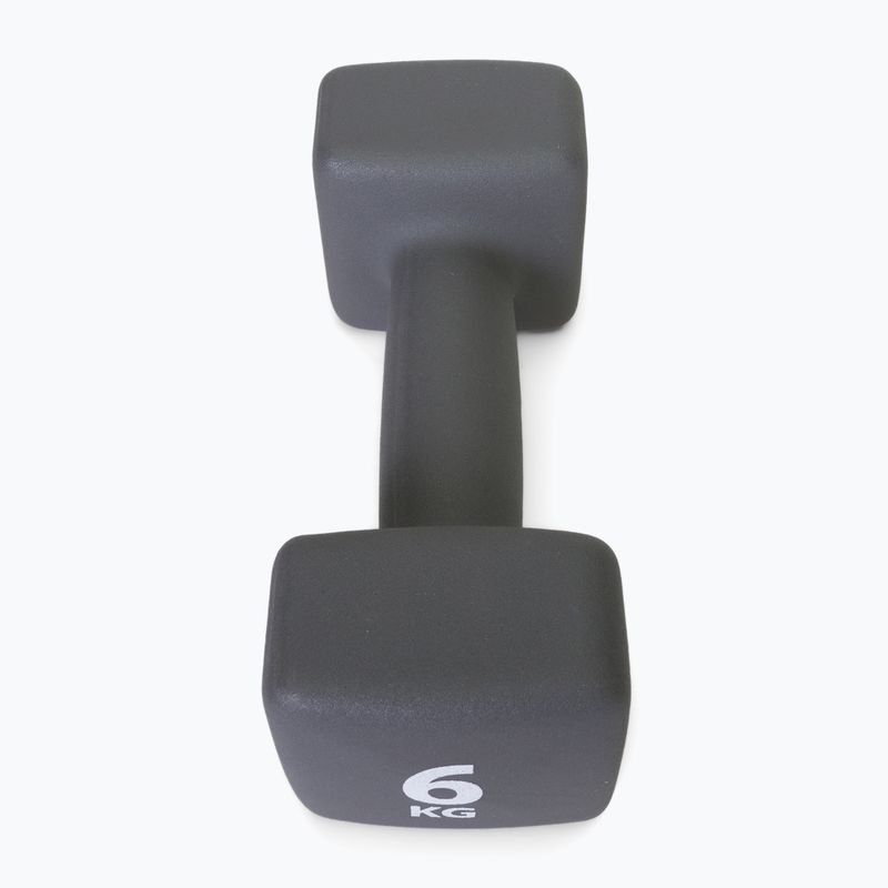 Neopreninis 6 kg hantelis Pure2Improve pilkas P2I201440 3
