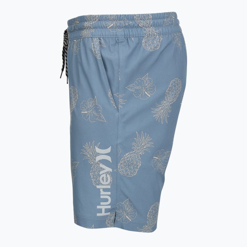 Vyriški maudymosi šortai Hurley Pineapple Volley Swim Short Blue/Brown 3