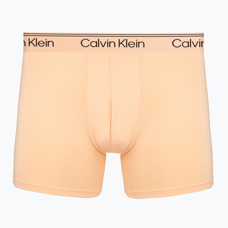 Vyriškos trumpikės Calvin Klein LV00NB4413 Brief 5 pairs light cast/shoreline/peach bliss/bl 8