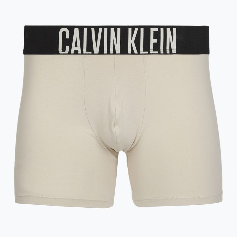 Trumpikės Calvin Klein 000NB3609A Boxer Brief 3 pairs oatmeal/aged redwood/bright turquoise 2