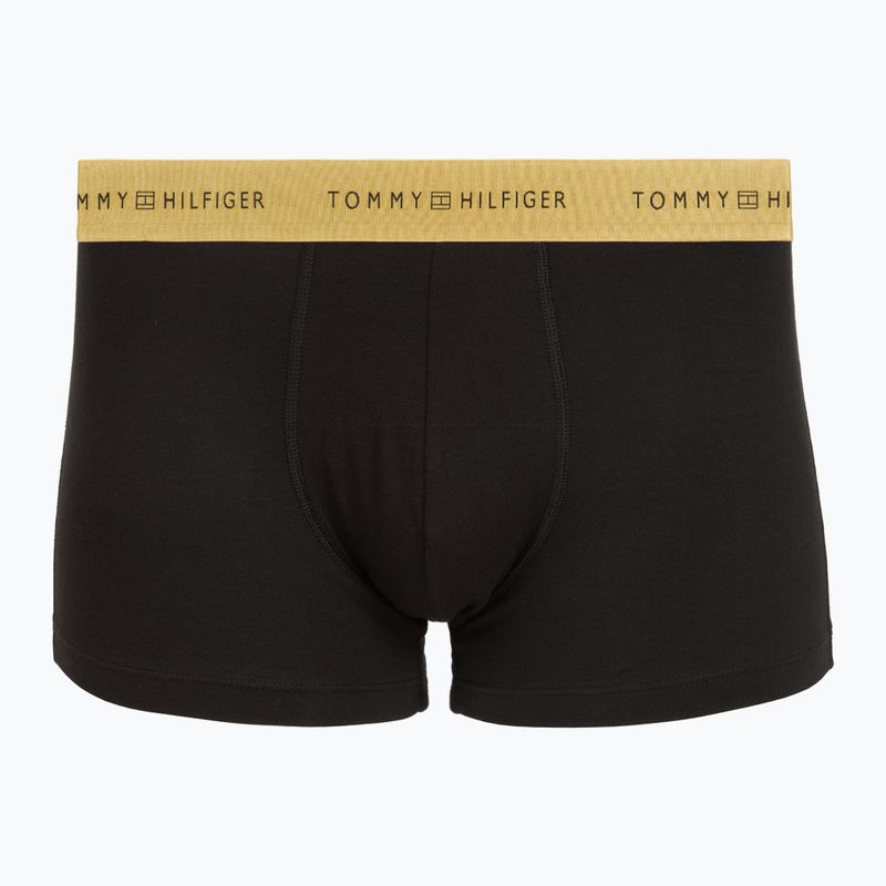 Vyriškos trumpikės Tommy Hilfiger Trunk Metallic gold/burgundy/green 2