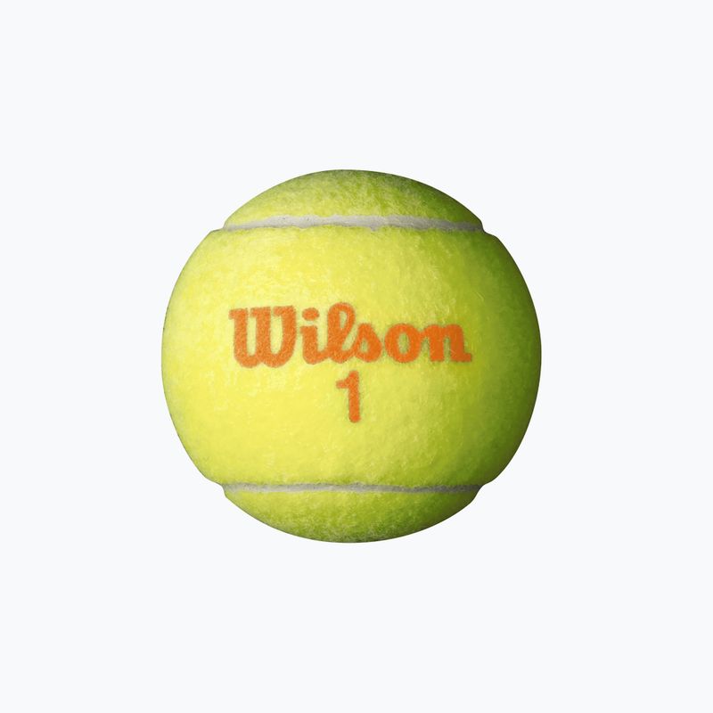 Wilson Starter Orange Tball vaikų teniso kamuoliukai 3 vnt. geltoni WRT137300 3