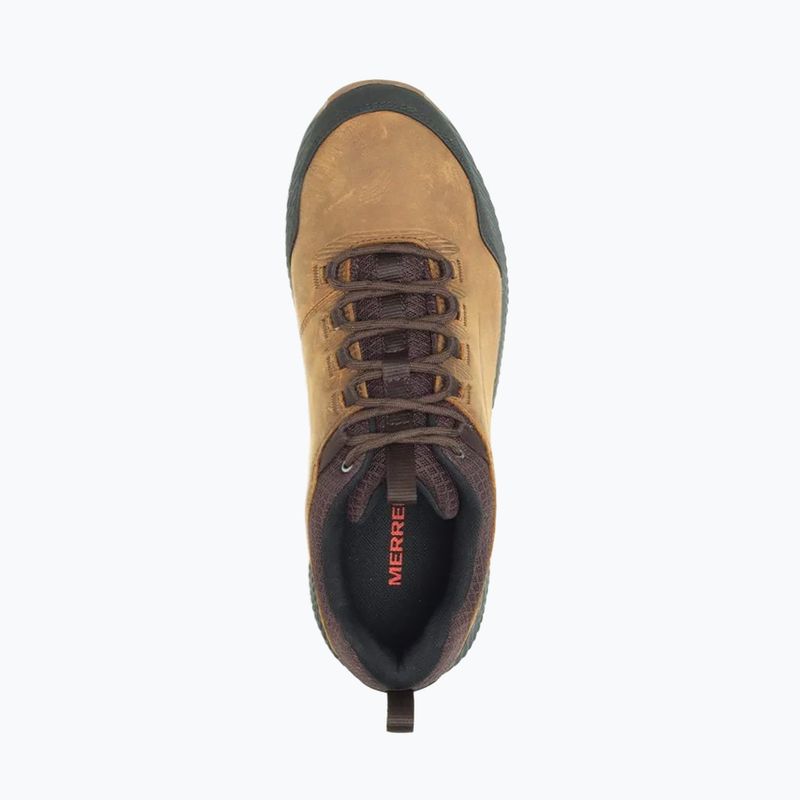 Vyriški trekingo batai Merrell Forestbound tan 11