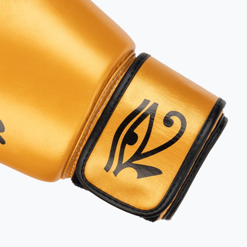Bokso pirštinės Fairtex Universal "Tight-Fit" Design Falcon gold 6