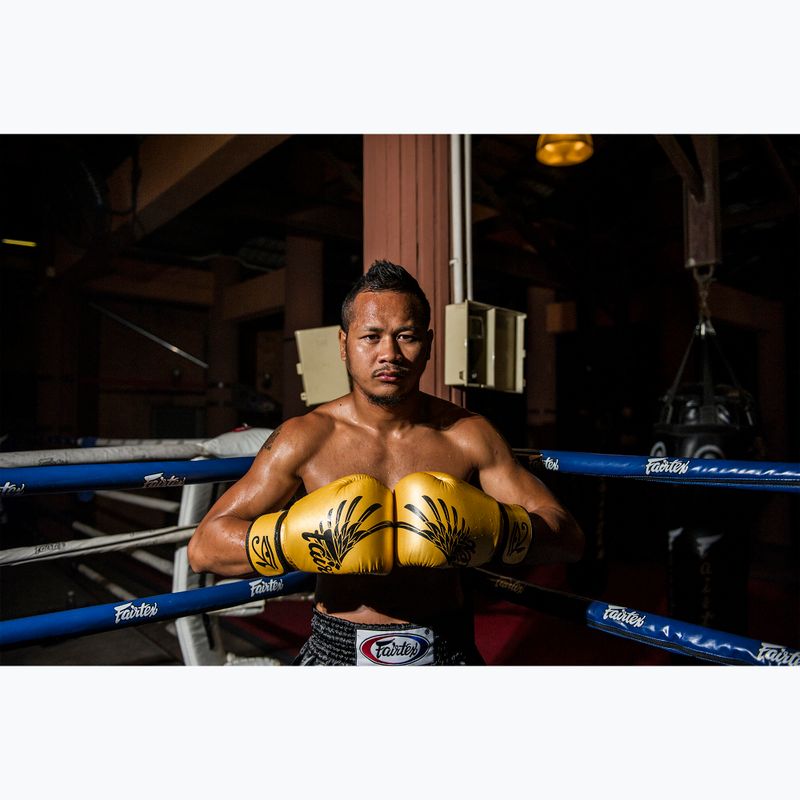 Bokso pirštinės Fairtex Universal "Tight-Fit" Design Falcon gold 2