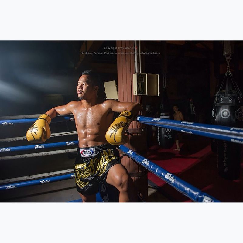 Bokso pirštinės Fairtex Universal "Tight-Fit" Design Falcon gold 3