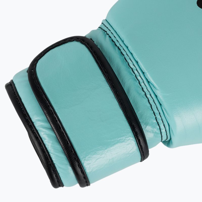 Bokso pirštinės Fairtex Genuine Leather Boxing blue 6