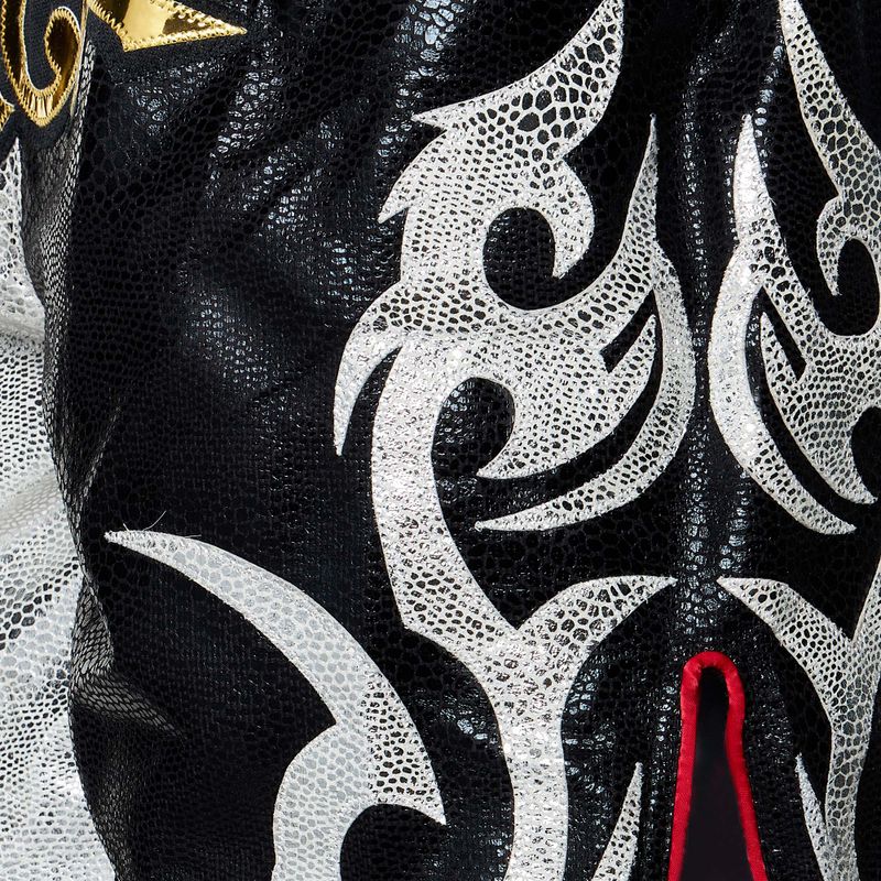 Treniruočių šortai Top King Kickboxing black/white 5
