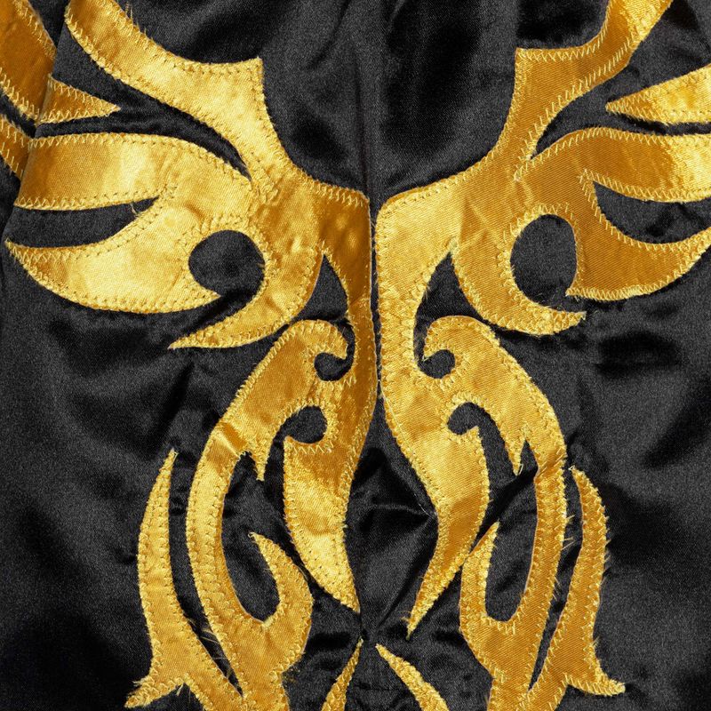 Vyriški treniruočių šortai Top King Kickboxing 4