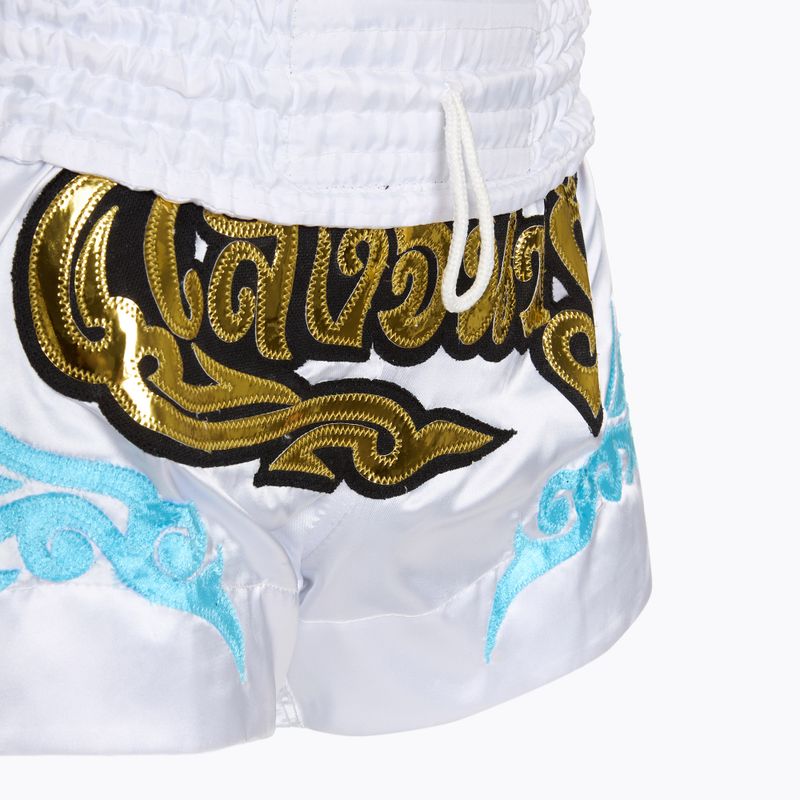 Treniruočių šortai Top King Kickboxing white 4