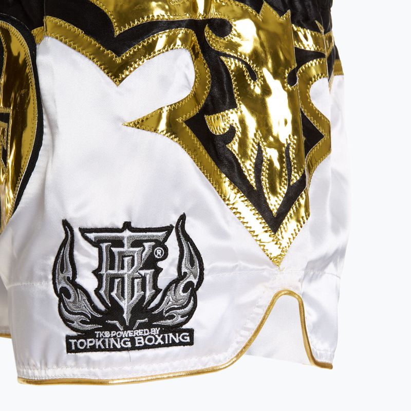 Treniruočių šortai Top King Kickboxing multicolor 4