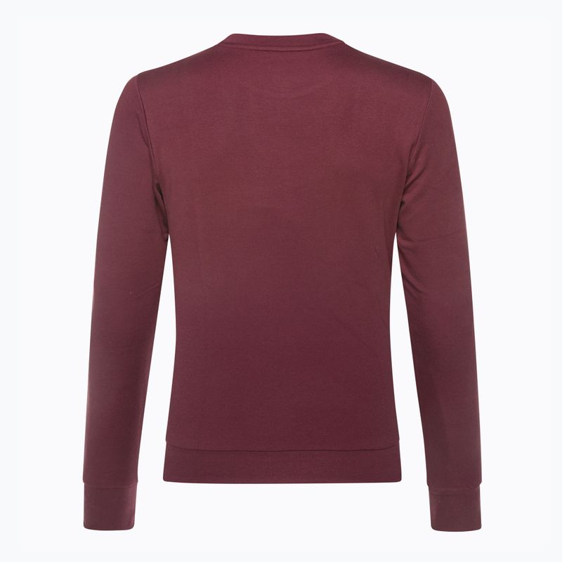 Vyriškas džemperis Atomic Alps Sweatshirt kaštoninės spalvos 4