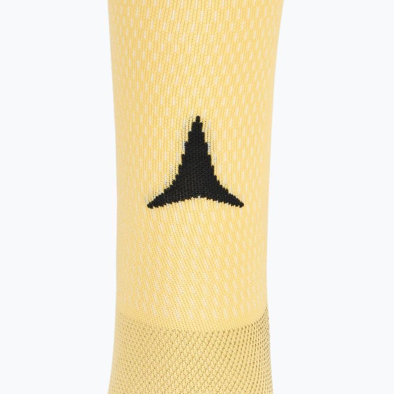 Slidinėjimo kojinės Atomic Pro Ski Sock butter 3