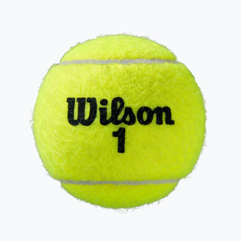 Teniso kamuoliukai Wilson Roland Garros All CT 4 vnt. yellow 5