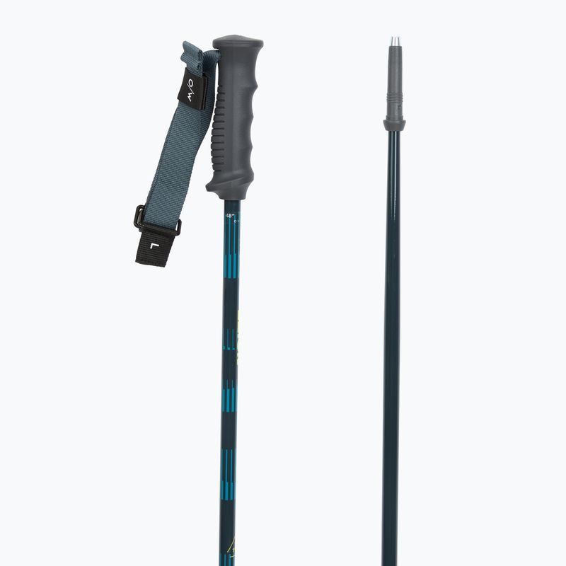 Slidinėjimo lazdos Fischer RC4 Noize grey / blue 3